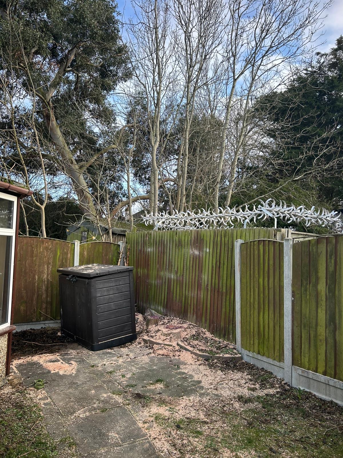 Tree removed, site cleared
